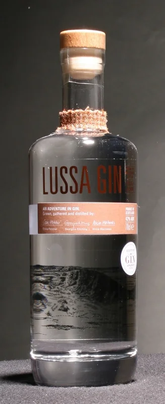 gin-monster20260522161318465902