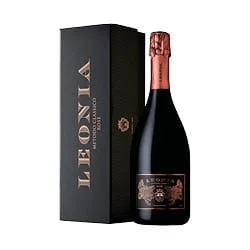 vino20260522163657470149