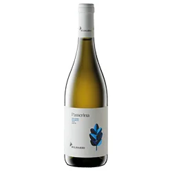 vino20260522173113476995