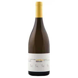vino20260522180606480649