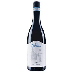 vino20260522181726481706
