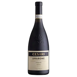 vino20260522182110482134