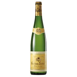 vino20260522194124492115