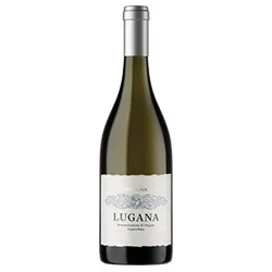 vino20260522201331495707