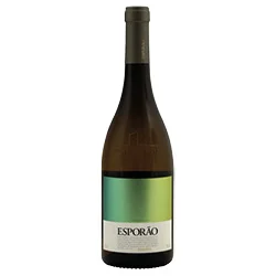 vino20260522202150496463