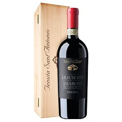 vino20260522205224498919