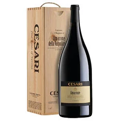 vino20260522212357500705