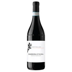 vino20260522212404500710