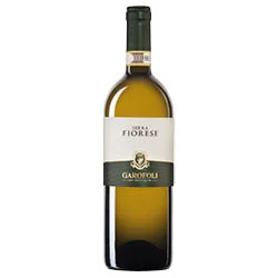 vino20260522214131501507