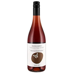 vino20260522215001501892