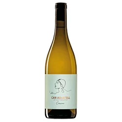vino20260522222052503317