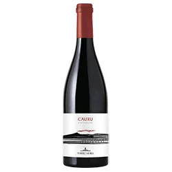 vino20260522224101504271
