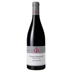 vino20260522225039504746