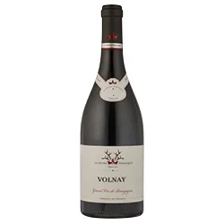 vino20260522225711505065