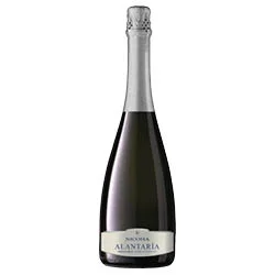 vino20260522230317505371