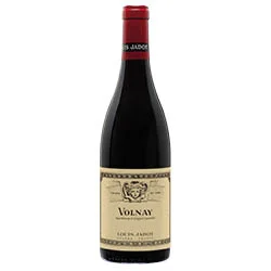 vino20260522231303505874