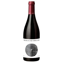 vino20260522232243506384